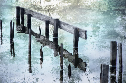 Bones Digital collage (c) 2012 Liz Ruest